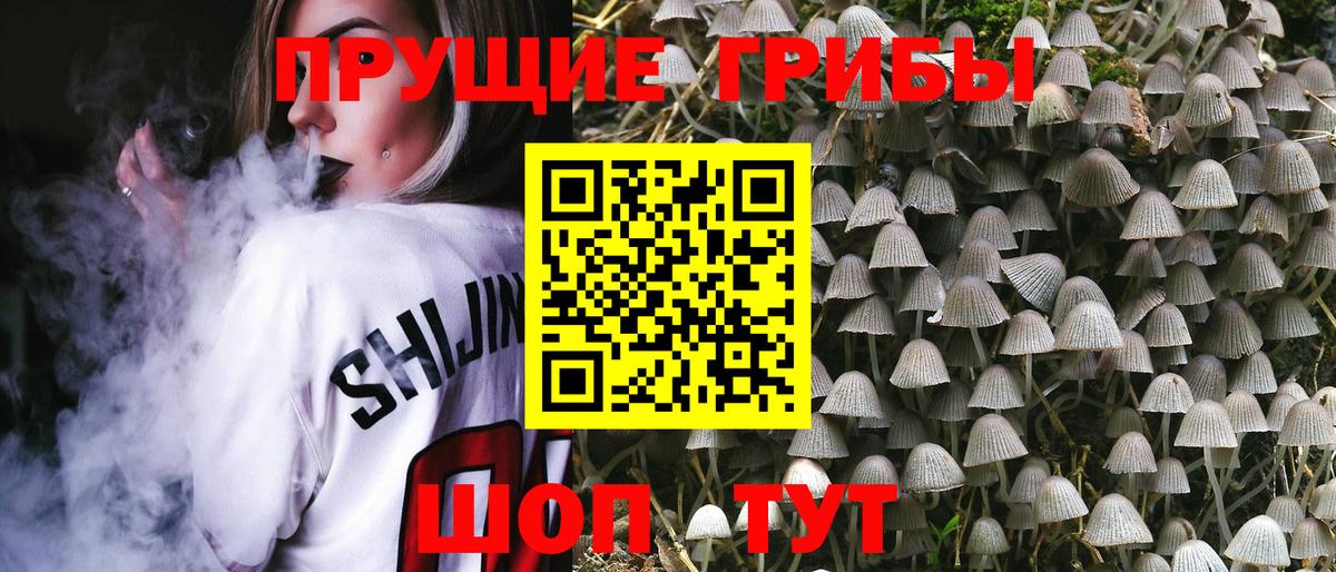 Галлюциногенные грибы ЛСД  Вход с VPN  Нижний Тагил 