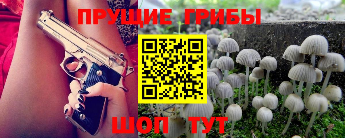Галлюциногенные грибы прущие грибы Нижний Тагил